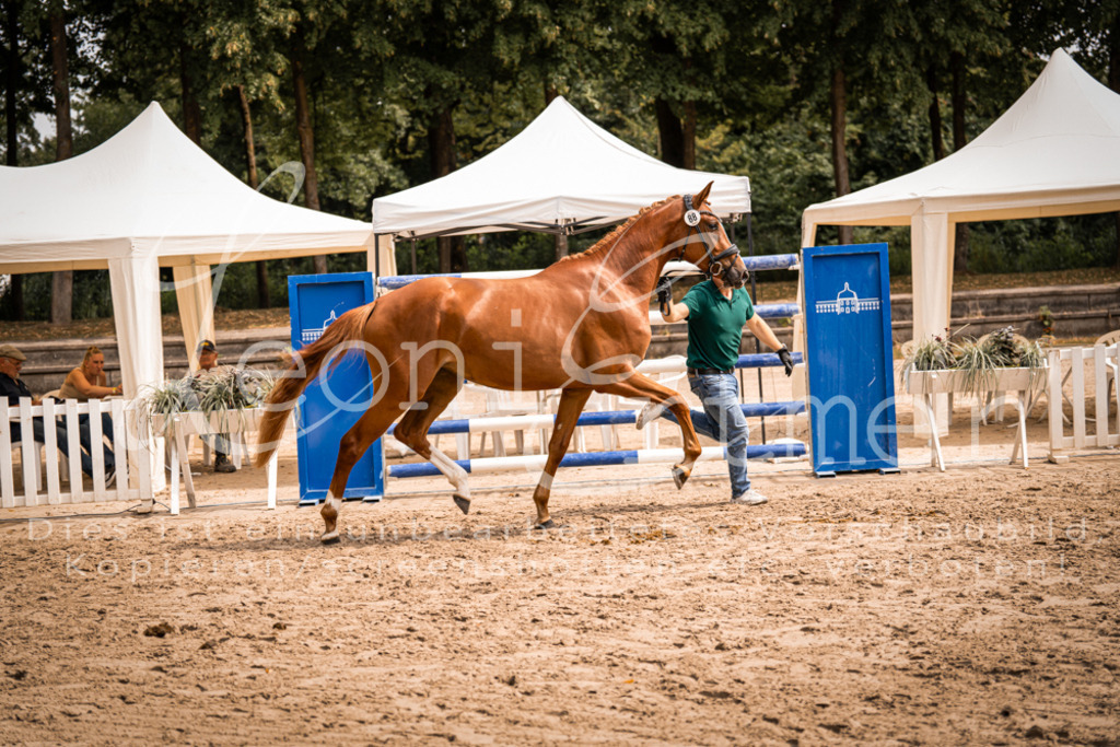 5.Fr00087 | Leoni Ertmer Photography - Realisiert mit Pictrs.com