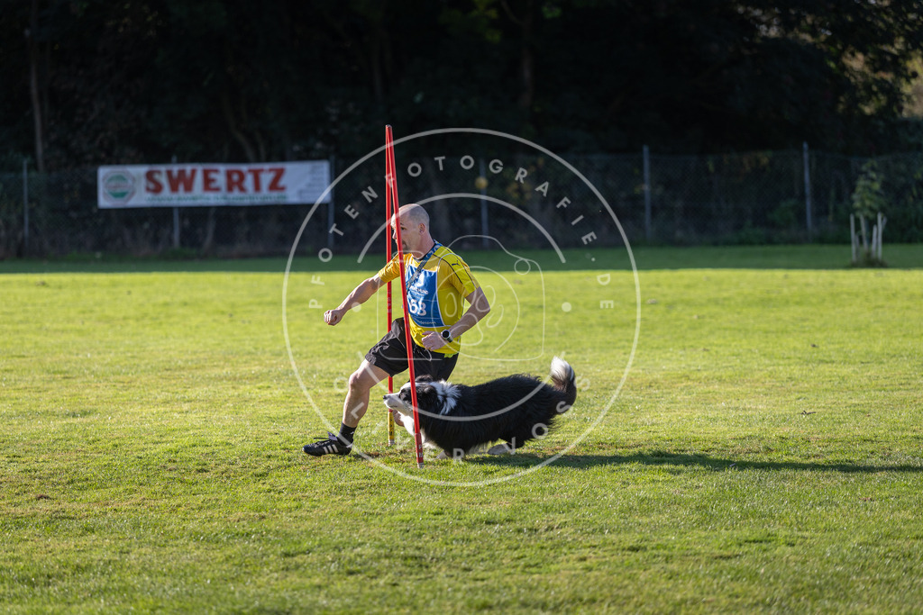 Pfotenfotografie.de_DV3A3474 | Hundefotografie, Tierfotograf, Pfotenfotografie, Fotoshooting Hund, Hunde Portrait, Hundesport, Hundeportraits, Heideshooting, Hunde, Sportfotograf, Hundefotograf, Turnierhundsport, THS, canicross - Realisiert mit Pictrs.com