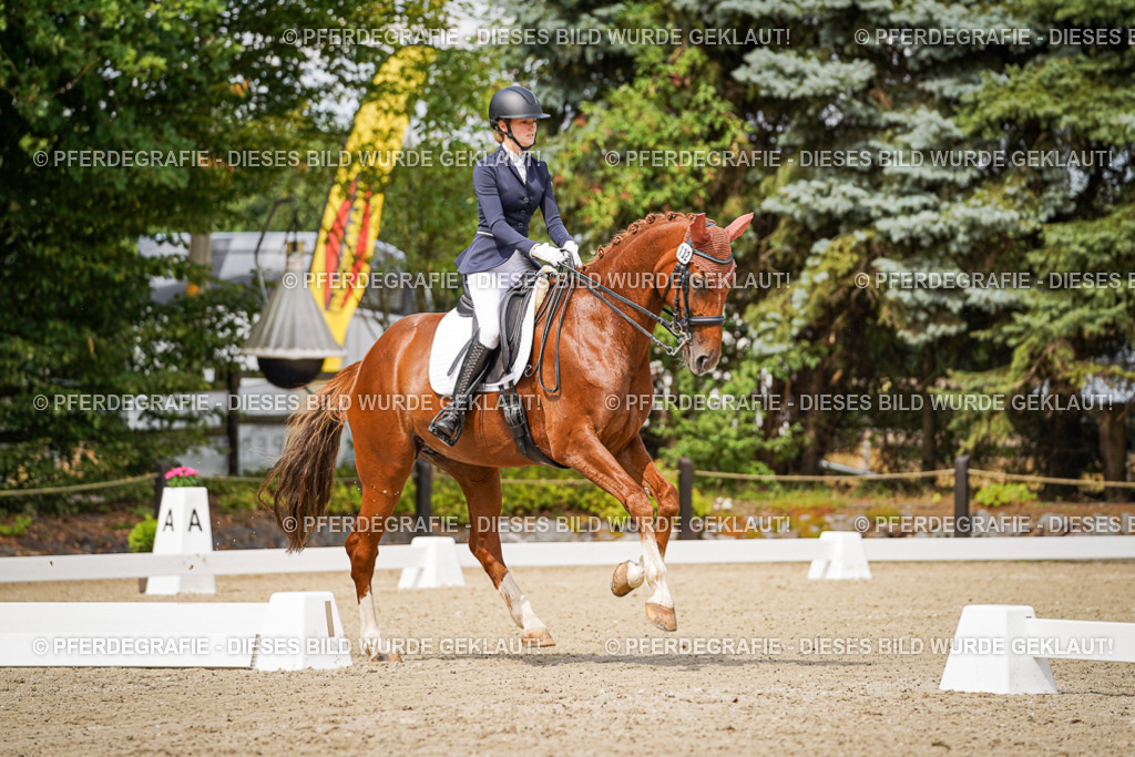 DSC04834 | Pferdegrafie