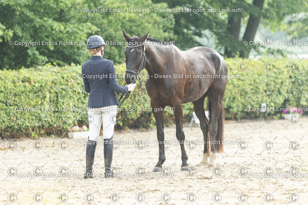 CL5A3335 | Emilia Reinking Fotografie - Realisiert mit Pictrs.com