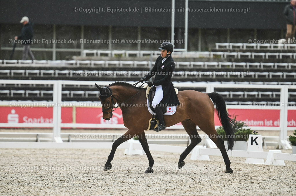 20230512_CCI4_Dressur_0079 | equistock