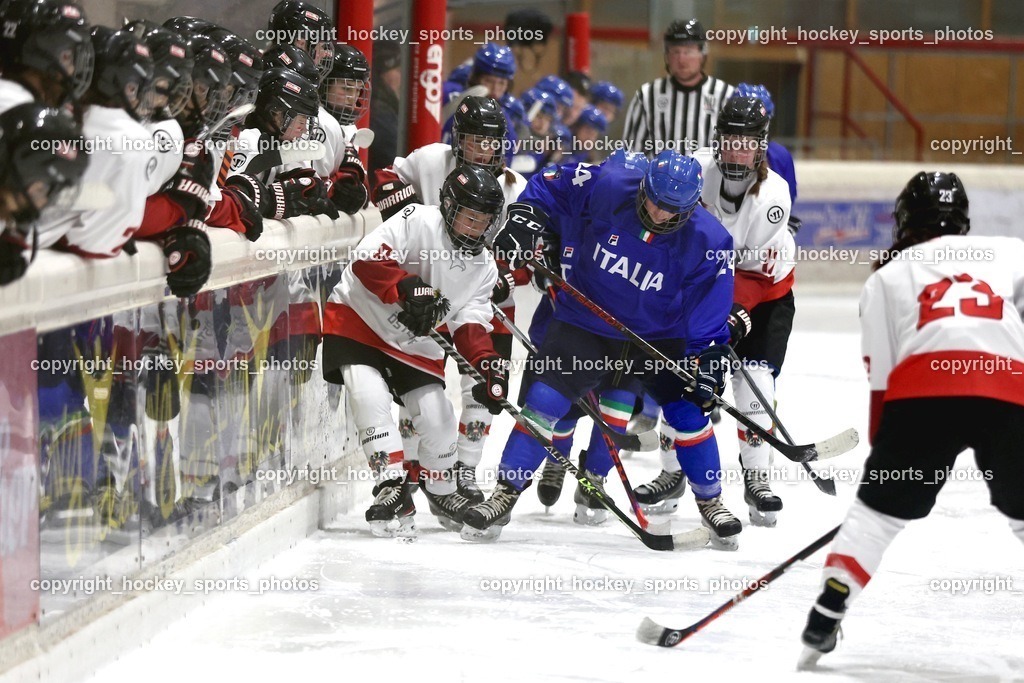 MOWE3641 | hockey sports photos, Pressefotos, Sportfotos, hockey247, win 2day icehockeyleague, Handball Austria, Floorball Austria, ÖVV, Kärntner Eishockeyverband, KEHV, KFV, Kärntner Fussballverband, Österreichischer Volleyballverband, Alps Hockey League, ÖFB, 