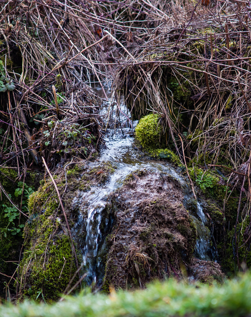 PSX_20230205_224525 | OLYMPUS DIGITAL CAMERA - Realisiert mit Pictrs.com