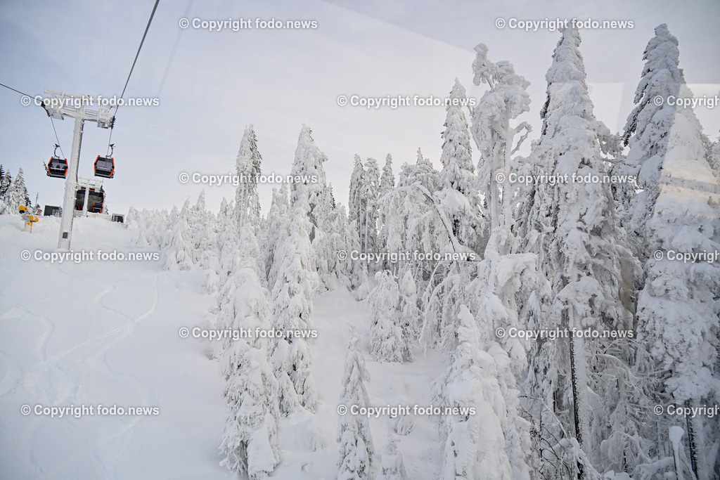 Hochficht_ Skigebiet_ Boehmerwald_ Saisonopening_ 08.12.2023-55 | 08.12.2023, Hochficht, AUT, Skigebiet Hochficht, Boehmerwald, Saisonopening 2023, im Bild Winterwonderland, Baeume, Tannen, Schnee, verschneit, Schneeschicht, Tiefschnee, Panorama, Himmel, Wetter, Skigebiet