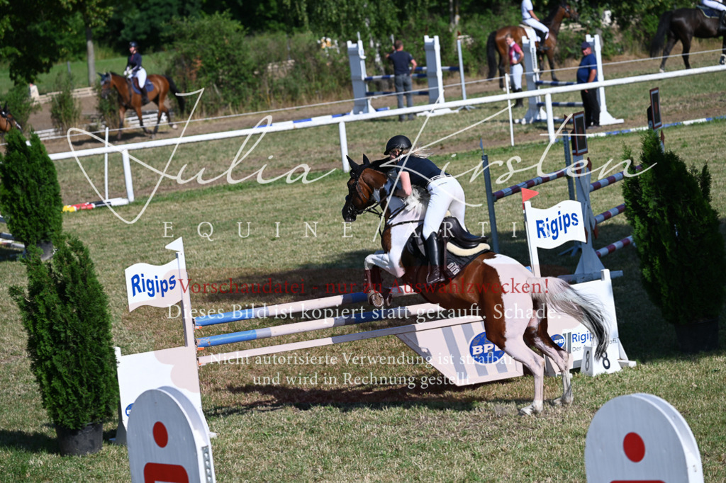 DSC_2404 | Pferde- und Turnierfotografie in Westsachsen. Pferdeportraits, Auftragszeichnungen und intuitive Kunst.