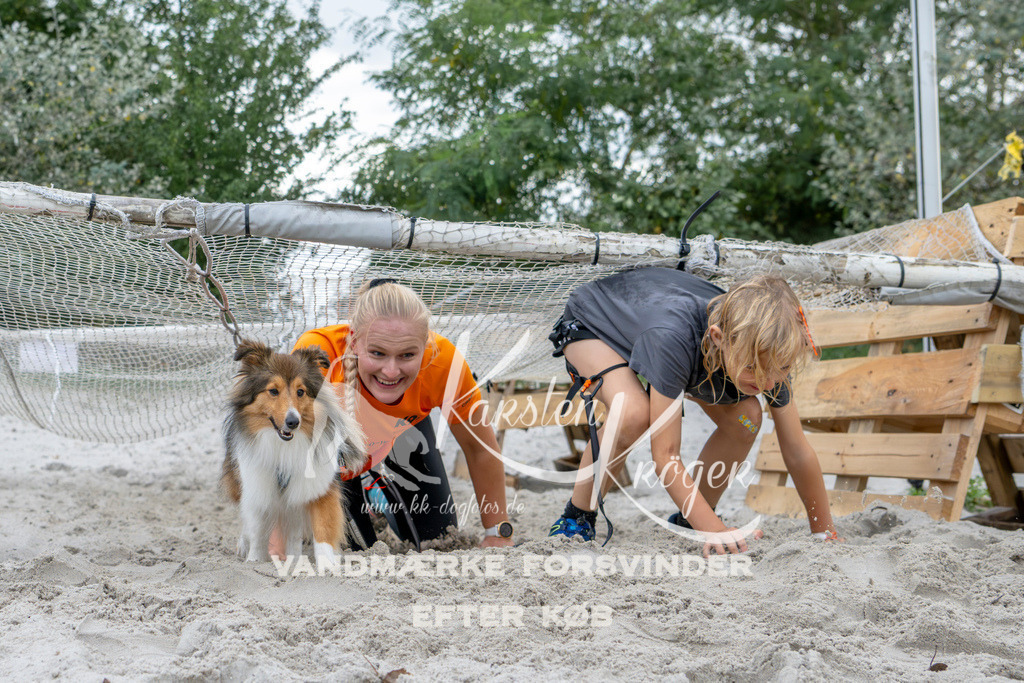 1542_ZZ96682 | kk-dogfotos