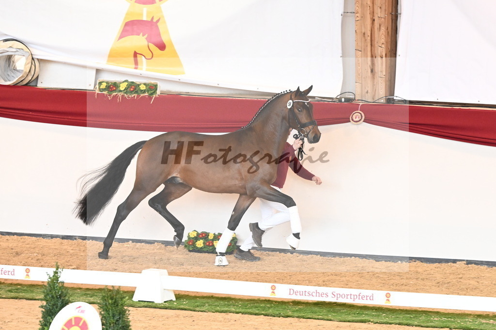 Kat.-Nr. 58 v. Monte Carlo TC_Fischer_2240844 | hf-fotografie - Realisiert mit Pictrs.com
