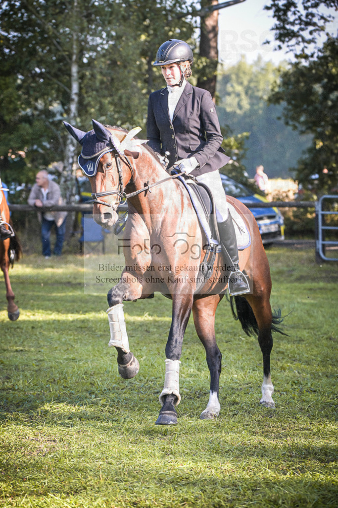 DOS_0025 | Entdecke hochwertige Reitturnierfotos von Foto Oger. Professionell, emotional und authentisch – jetzt Lieblingsmomente im Shop bestellen.Deutschlandweite Turnierfotografie. - Realisiert mit Pictrs.com