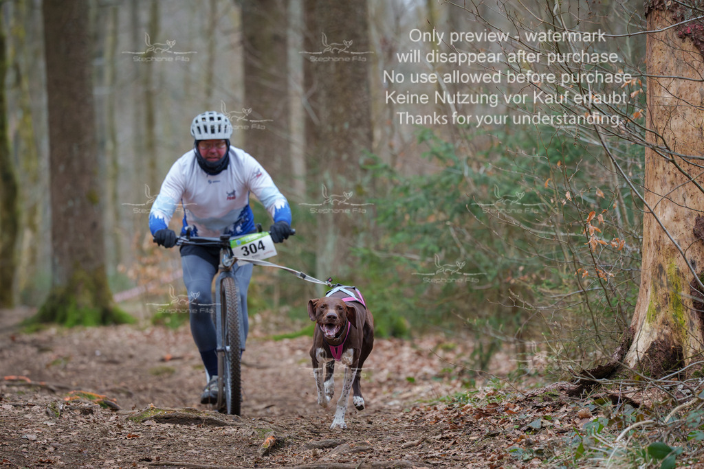 Scooter_So-40 | stephaniefillaphotographie - Realisiert mit Pictrs.com