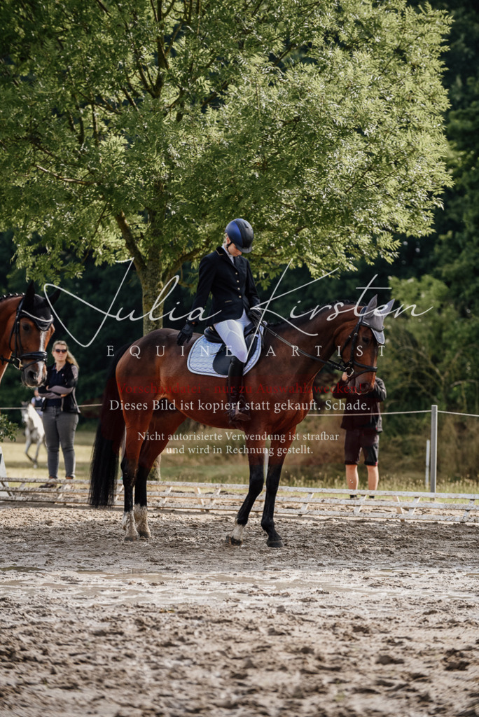 DSC_9000 | Pferde- und Turnierfotografie in Westsachsen. Pferdeportraits, Auftragszeichnungen und intuitive Kunst.