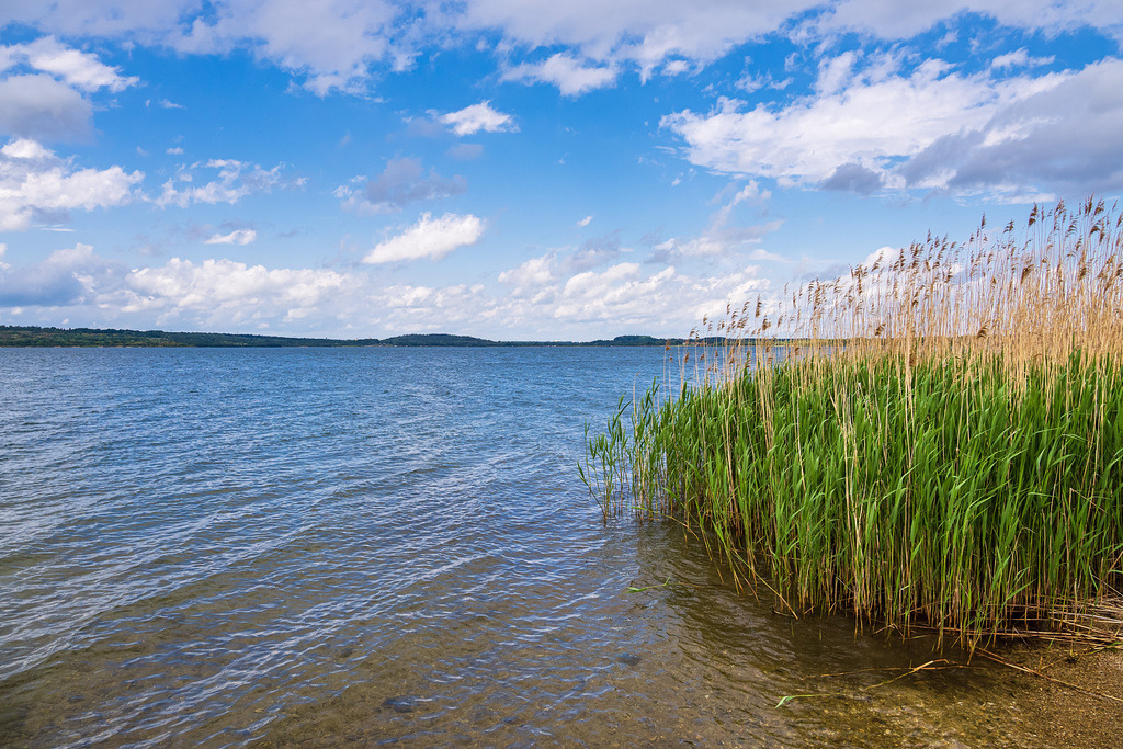 Blick über den Berzdorfer See bei Görlitz | Blick über den Berzdorfer See bei Görlitz.