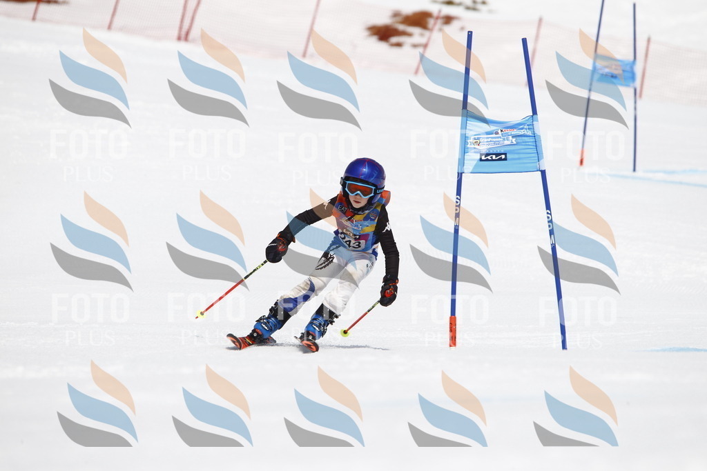 _U3G6141 | holidayphoto