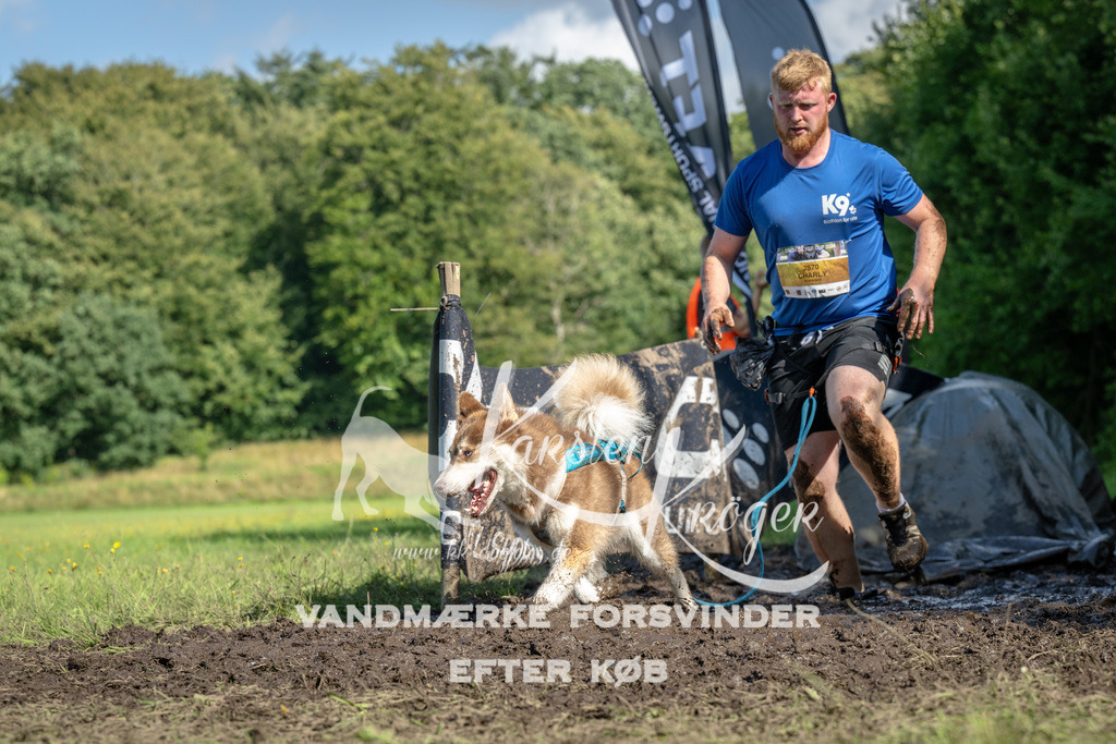 1554_ZZ91988 | kk-dogfotos