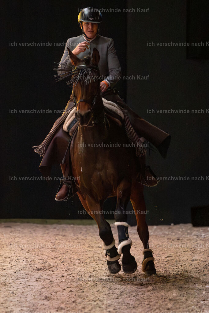 JoseraCup-179 | working equitationturnier fotograf videograf stoibphotography marixx film working equitation deutschland reitsport turnierfotografie eventfotografie equestrian events