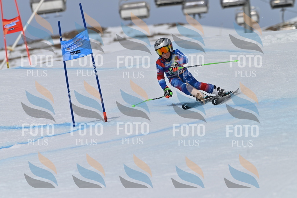 BGV_5586 | holidayphoto