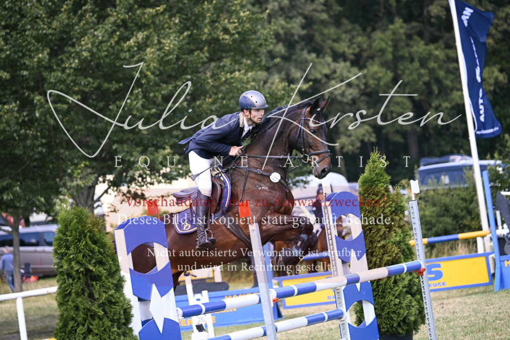 DSC_0163 | Pferde- und Turnierfotografie in Westsachsen. Pferdeportraits, Auftragszeichnungen und intuitive Kunst.