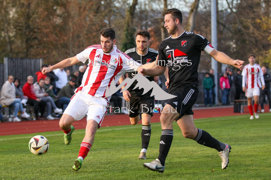 993T1397 | Popovic, Tobias Loher