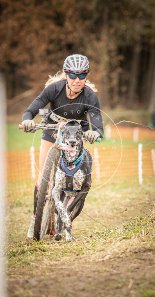 DV3A1730 | Hundefotografie, Tierfotograf, Pfotenfotografie, Fotoshooting Hund, Hunde Portrait, Hundesport, Hundeportraits, Heideshooting, Hunde, Sportfotograf, Hundefotograf, Turnierhundsport, THS,  - Realisiert mit Pictrs.com