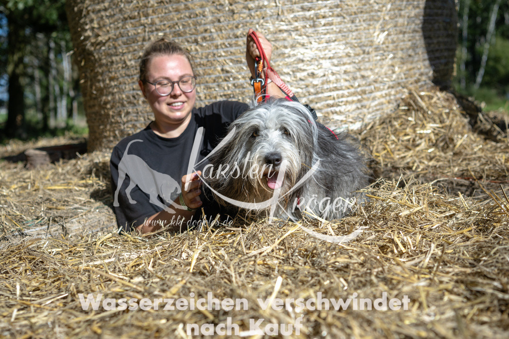 1209_ZZ90577-2 | kk-dogfotos