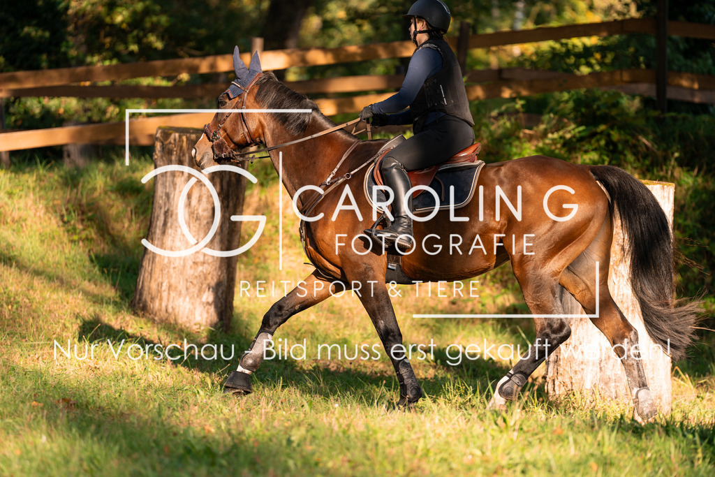 DSC07697 | Turnierfotografin Carolin Gieschke, Turnierfotografie Carolin G Fotografie, Turnierfotos Kirchheim/Teck, Esslingen, Stuttgart, Bodenseekreis