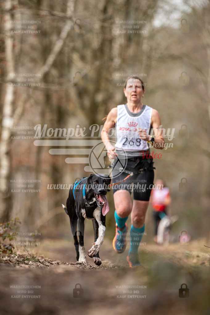 SPA_2023_SAM_CCK-29 | PayLife