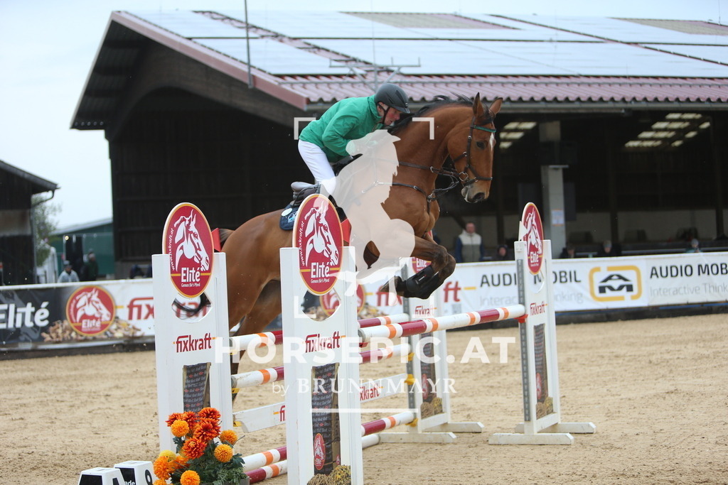 DL2Q6973 | Willkommen bei Brunnmayr - Design & Fotografie – Ihrem Spezialisten für Reitturniere und Pferdeveranstaltungen in Oberösterreich, Salzburg und Bayern! Seit über 17 Jahren sind wir leidenschaftlich dabei.