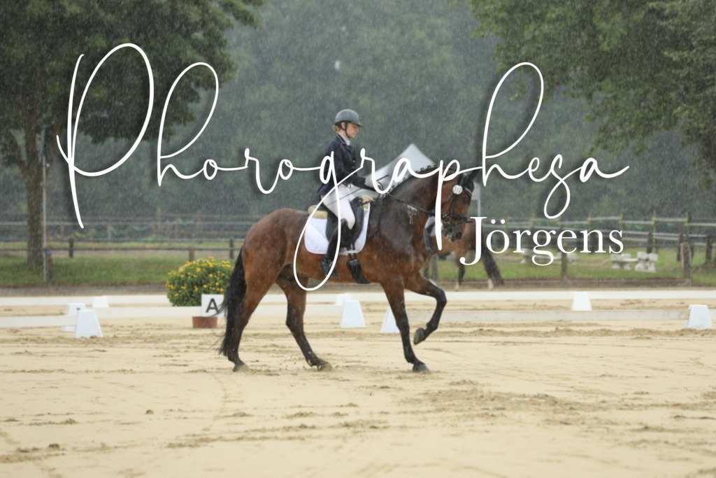 IMG_4792 | photographesa-joergens - Realisiert mit Pictrs.com