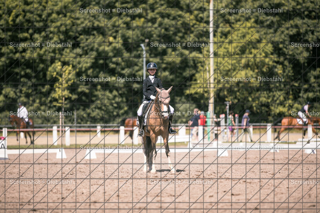 _W6A2638 | ronjaprokoschfotografie - Realisiert mit Pictrs.com