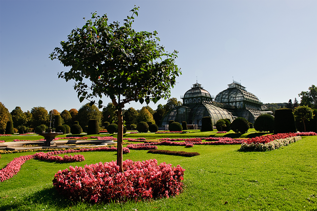 Palmenhaus | Palmenhaus Wien in Schönbrunn - Realisiert mit Pictrs.com