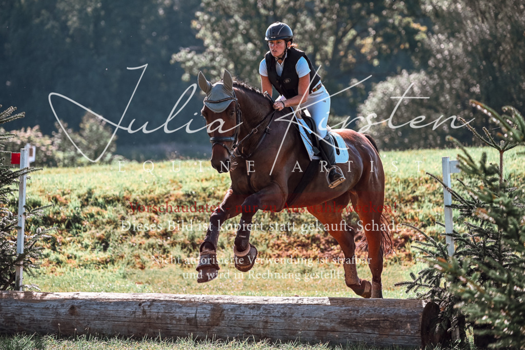 DSC_0984 | Pferde- und Turnierfotografie in Westsachsen. Pferdeportraits, Auftragszeichnungen und intuitive Kunst.