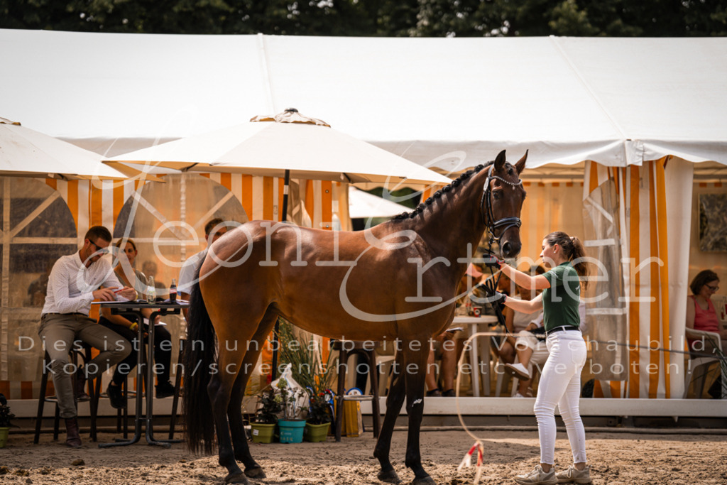 3.Fr00110 | Leoni Ertmer Photography - Realisiert mit Pictrs.com