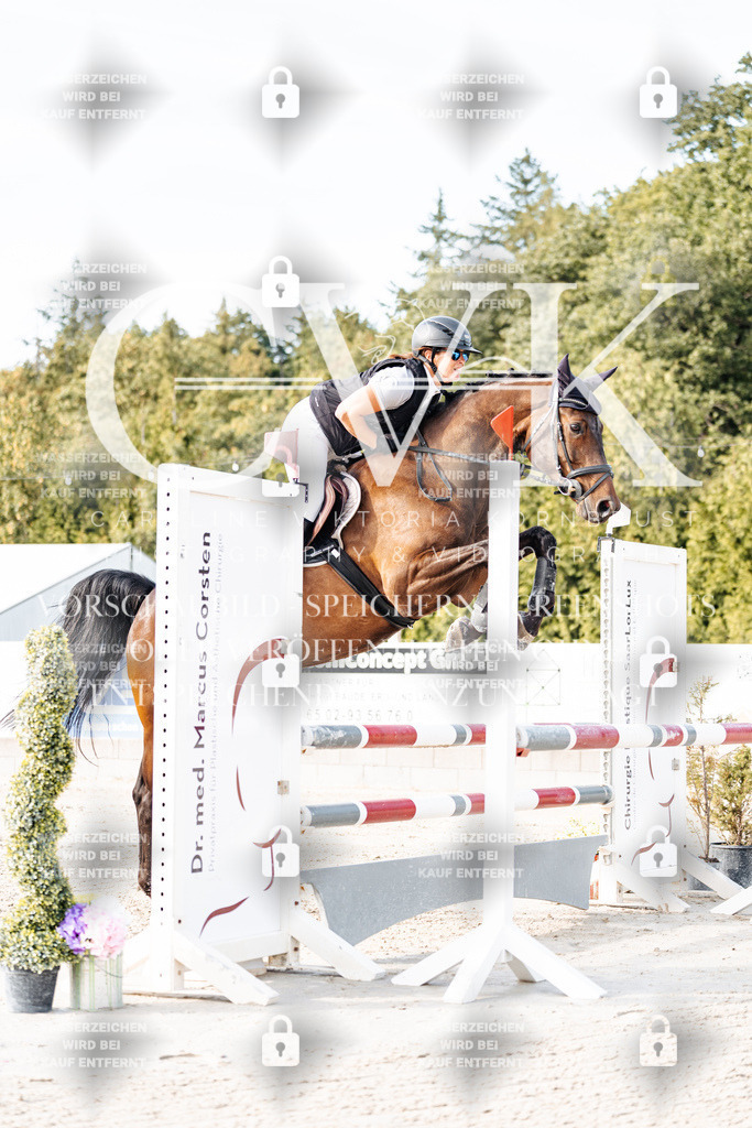CK906318 | Turnierfotografie Pferdefotografie Trier Rheinland-Pfalz Pferdesport Reitsport Tierfotografie Sportfotografie Pferdevideo Pferdevideografie Equestrianvideography equestrianphotography  - Realisiert mit Pictrs.com