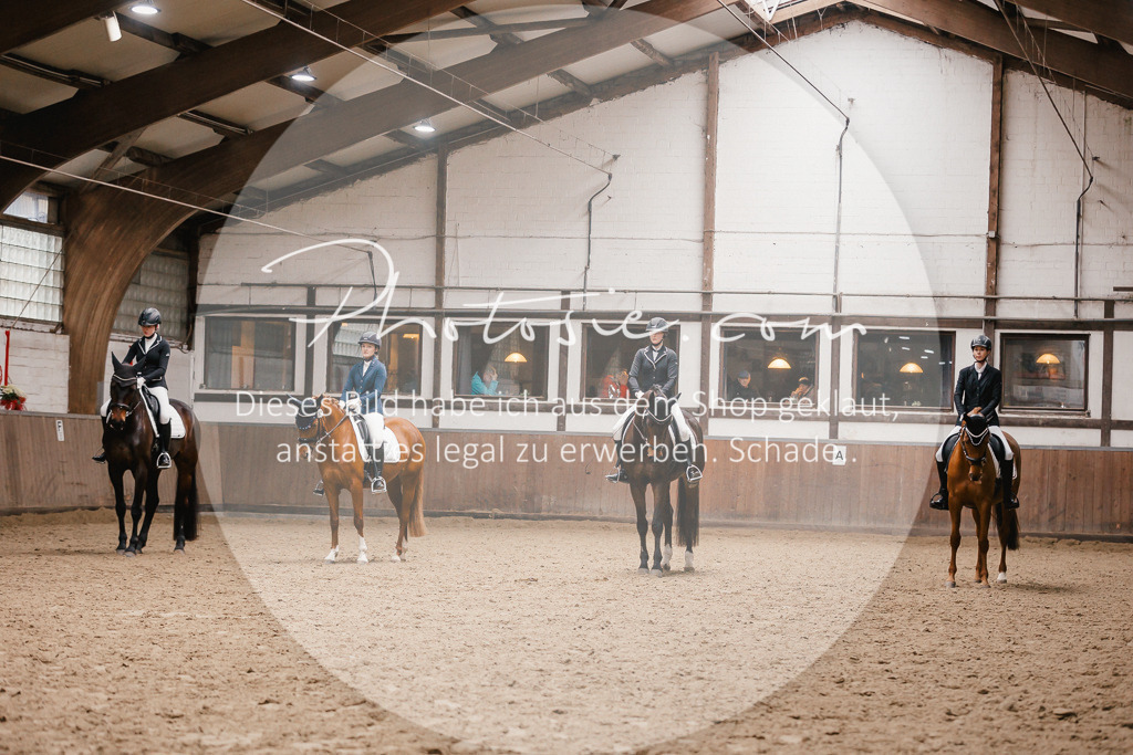 3I6A7793 | Stimmungsvolle Portraits und Reitsportfotografie im Ruhrgebiet und im Münsterland.

Pferdefotografie, Hundefotografie, Tierfotografie, Reportagen, Portraits von Tier und Mensch, Turnierfotografie in Bochum, Recklinghausen, Marl, Haltern am See, Dülmen.. - Realisiert mit Pictrs.com