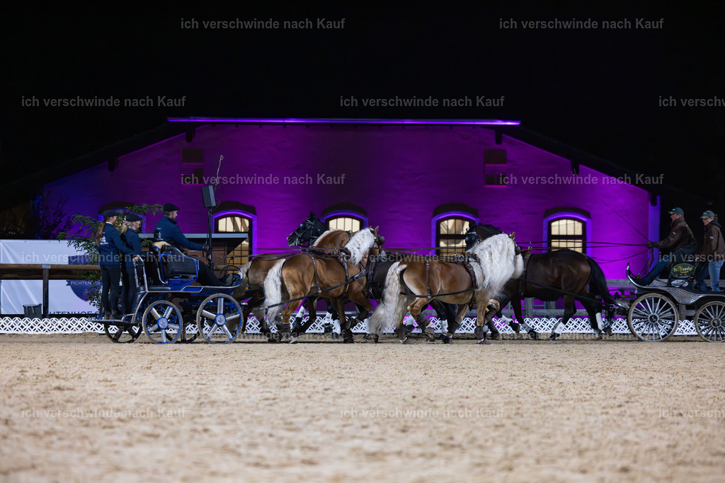 FHClassics-272 | working equitationturnier fotograf videograf stoibphotography marixx film working equitation deutschland reitsport turnierfotografie eventfotografie equestrian events