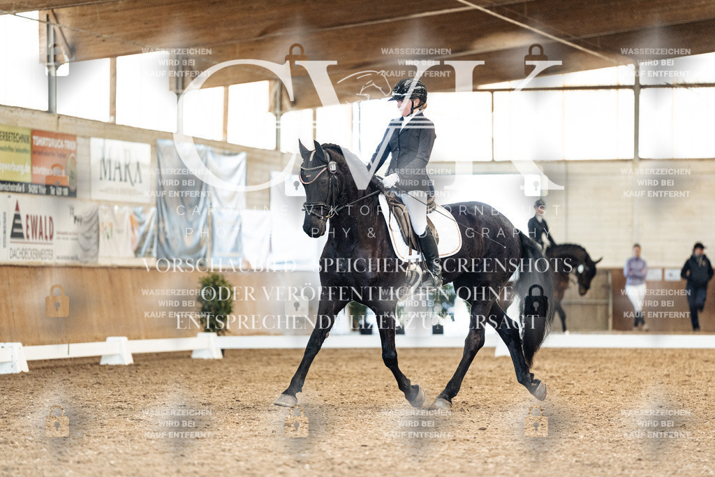 CK909794 | Turnierfotografie Pferdefotografie Trier Rheinland-Pfalz Pferdesport Reitsport Tierfotografie Sportfotografie Pferdevideo Pferdevideografie Equestrianvideography equestrianphotography  - Realisiert mit Pictrs.com