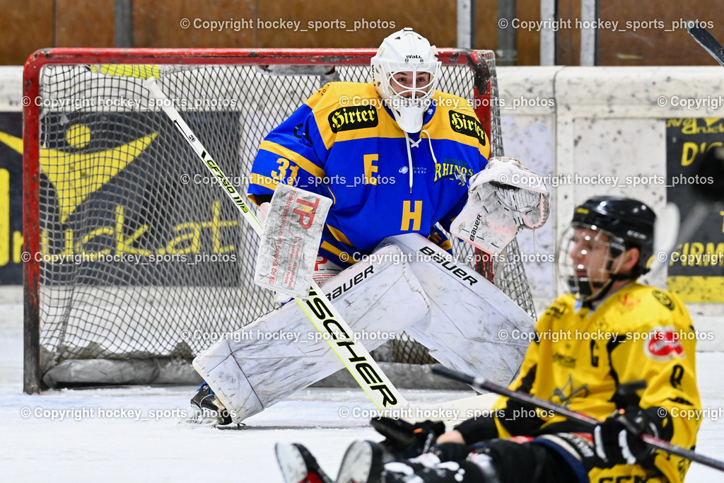 EC Spittal Hornets vs. EHC Althofen 6.1.2024 | #31 Horn Fabian