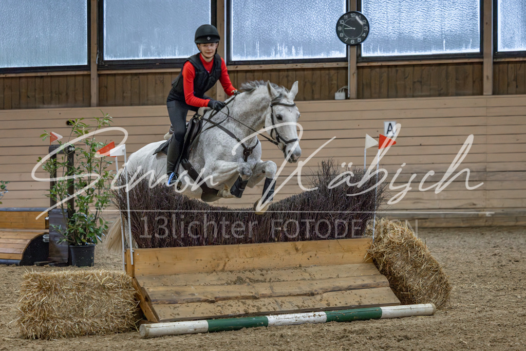 20260222-_3LI1045 | Tierfotografie Pferde, Hunde, Katzen, Haustiere.
Turnierfotografie Reitturniere, Reiten, Springreiten, Dressur in Hanau, dem Main-Kinzig-Kreis und dem Rhein-Main- Gebiet um Frankfurt