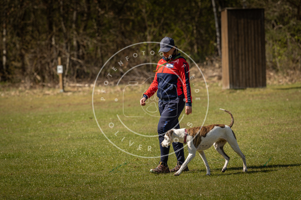 Pfotenfotografie_DV3A0756 | Hundefotografie, Tierfotograf, Pfotenfotografie, Fotoshooting Hund, Hunde Portrait, Hundesport, Hundeportraits, Heideshooting, Hunde, Sportfotograf, Hundefotograf, Turnierhundsport, THS,  - Realisiert mit Pictrs.com