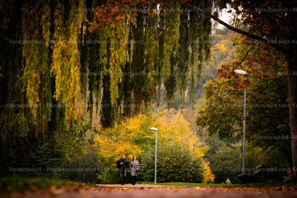 DSC05575-2 | marcuslinek