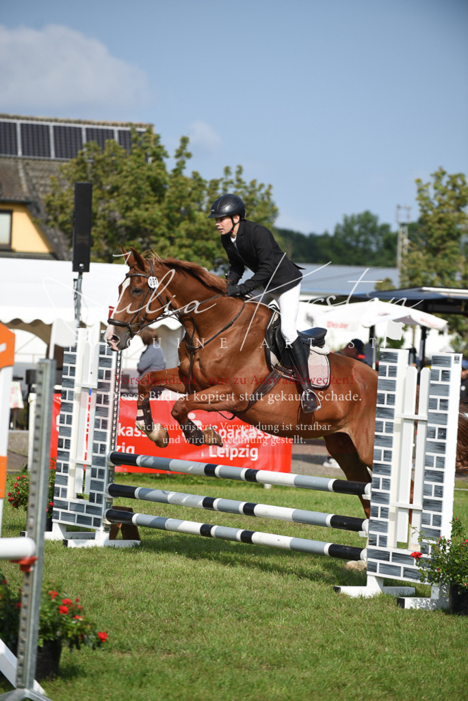 DSC_8802 | Pferde- und Turnierfotografie in Westsachsen. Pferdeportraits, Auftragszeichnungen und intuitive Kunst.