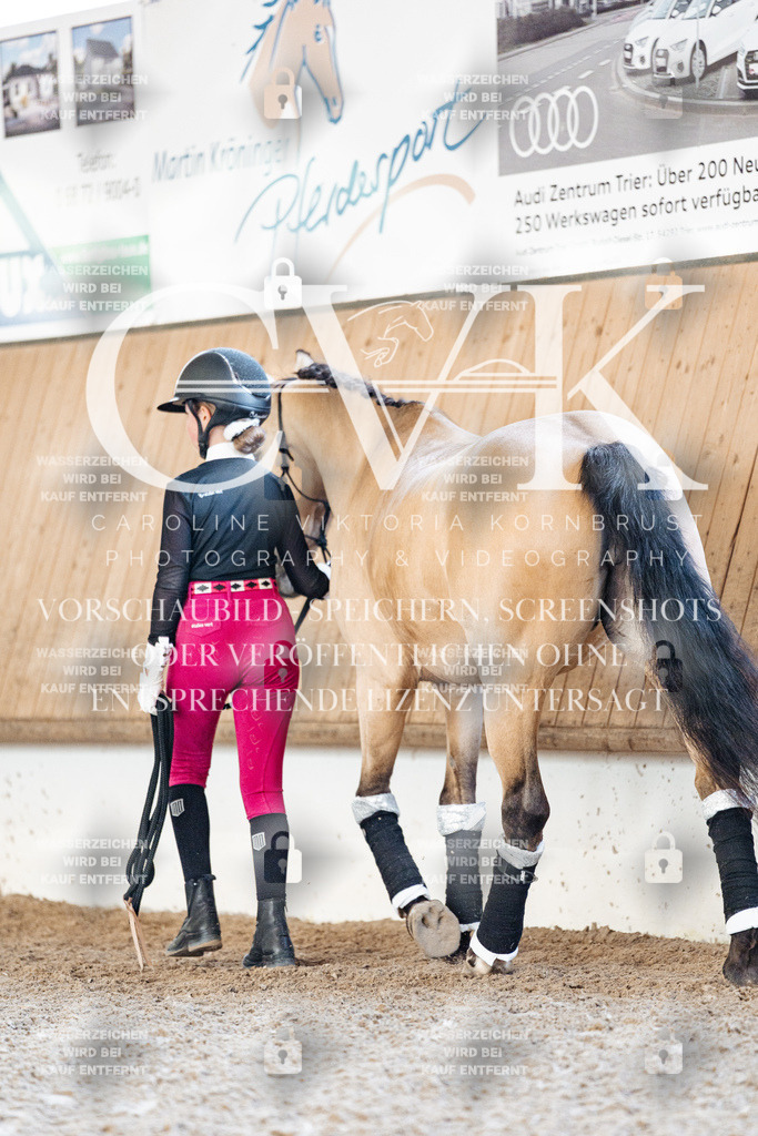CK905394 | Turnierfotografie Pferdefotografie Trier Rheinland-Pfalz Pferdesport Reitsport Tierfotografie Sportfotografie Pferdevideo Pferdevideografie Equestrianvideography equestrianphotography  - Realisiert mit Pictrs.com