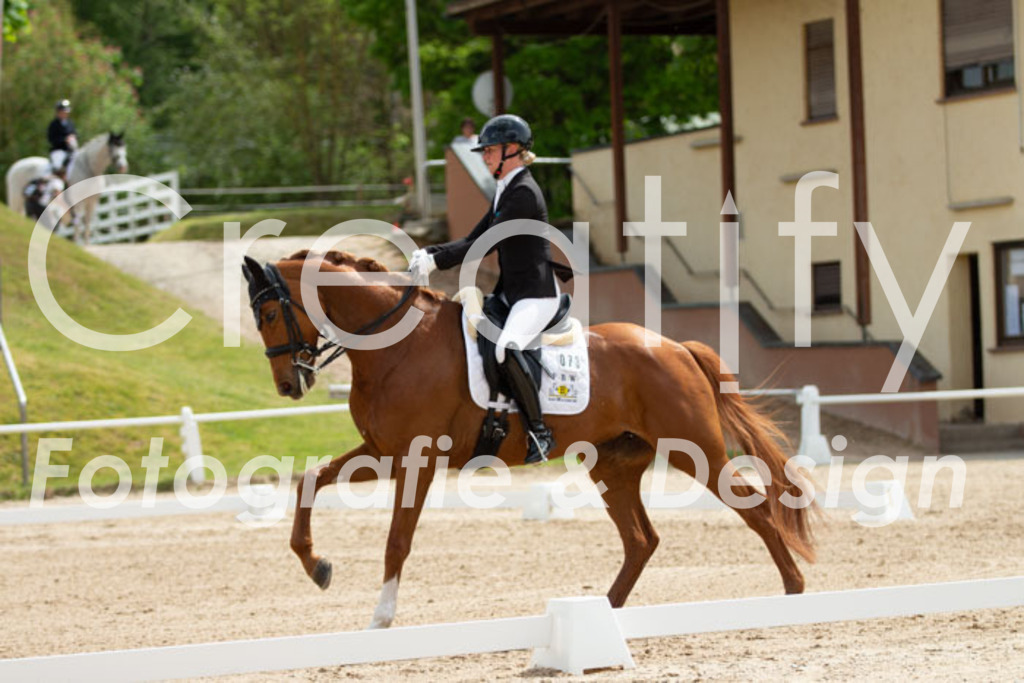 IMG_6853 | Creatify Fotografie