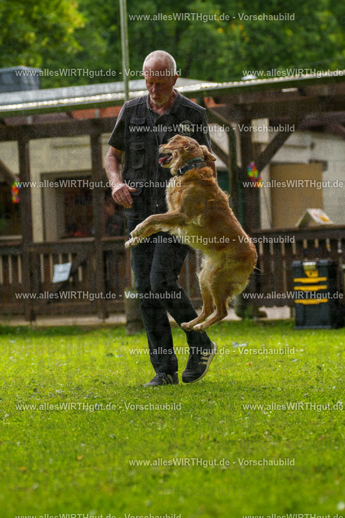 @allesWIRTHgut_Tierfotografie - www.allesWIRTHgut.de - 093357-7R507338 | Professionelle Tierfotografie in Mönchengladbach von Daniel Wirth (allesWIRTHgut). Liebevolle & natürliche Bilder von Hunden & Katzen für unvergessliche Erinnerungen.
