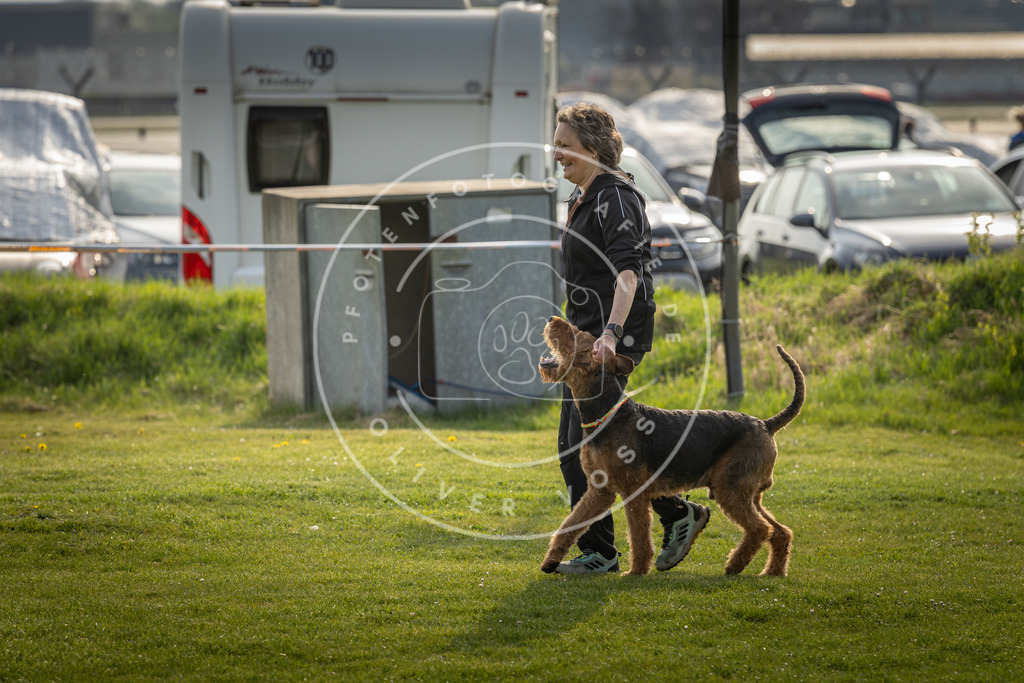 Pfotenfotografie_DV3A4831 | Hundefotografie, Tierfotograf, Pfotenfotografie, Fotoshooting Hund, Hunde Portrait, Hundesport, Hundeportraits, Heideshooting, Hunde, Sportfotograf, Hundefotograf, Turnierhundsport, THS,  - Realisiert mit Pictrs.com
