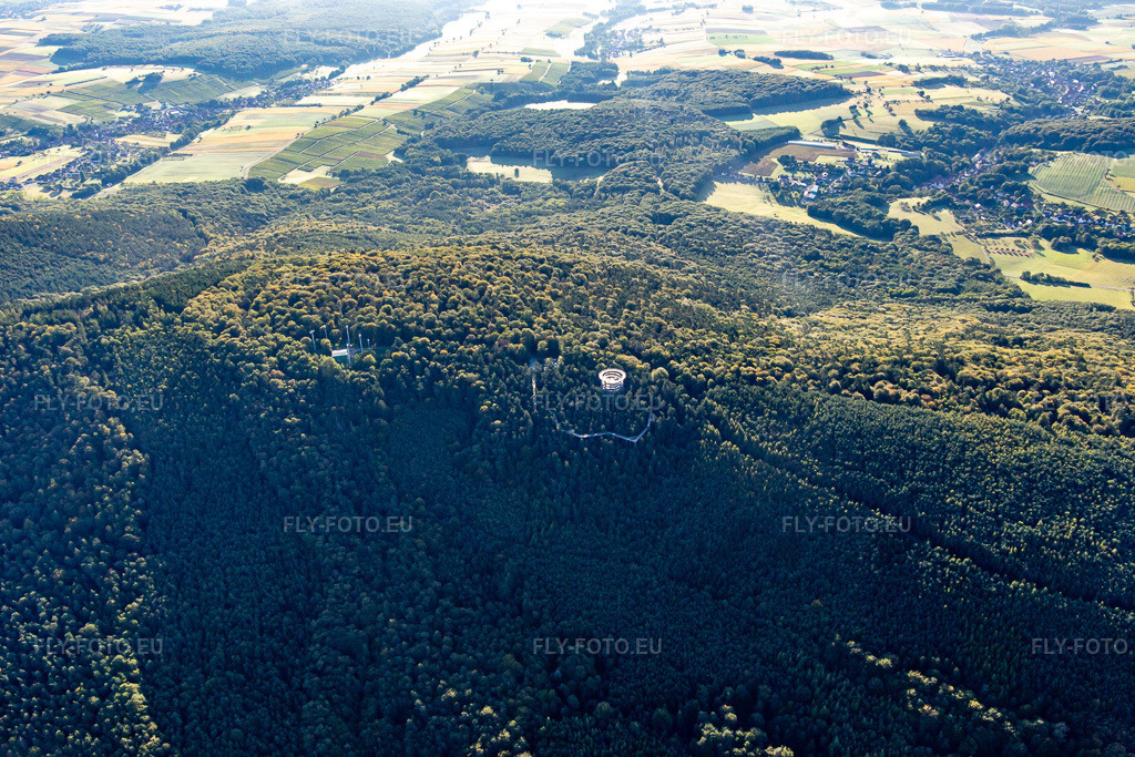 Vue aérienne: Passerelle dans les arbres d'Alsace à Cleebourg dans le département Bas Rhin, France – .Photo: IMG_138938.jpg prise le 24/09/2023 par Werner Riehm/FLY-FOTO.eu – Résolution de l'original: 5472 x 3648 px – den Baumwipfelpfaden der Erlebnis Akademie AG!