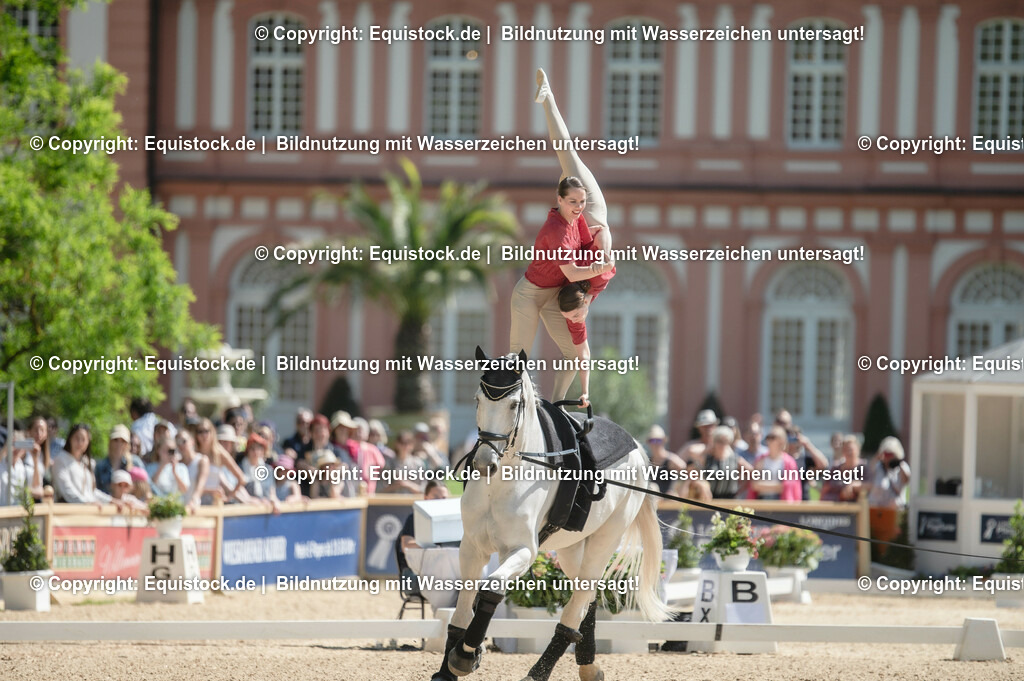 20230528_Voltigieren_NASPA_0362 | equistock