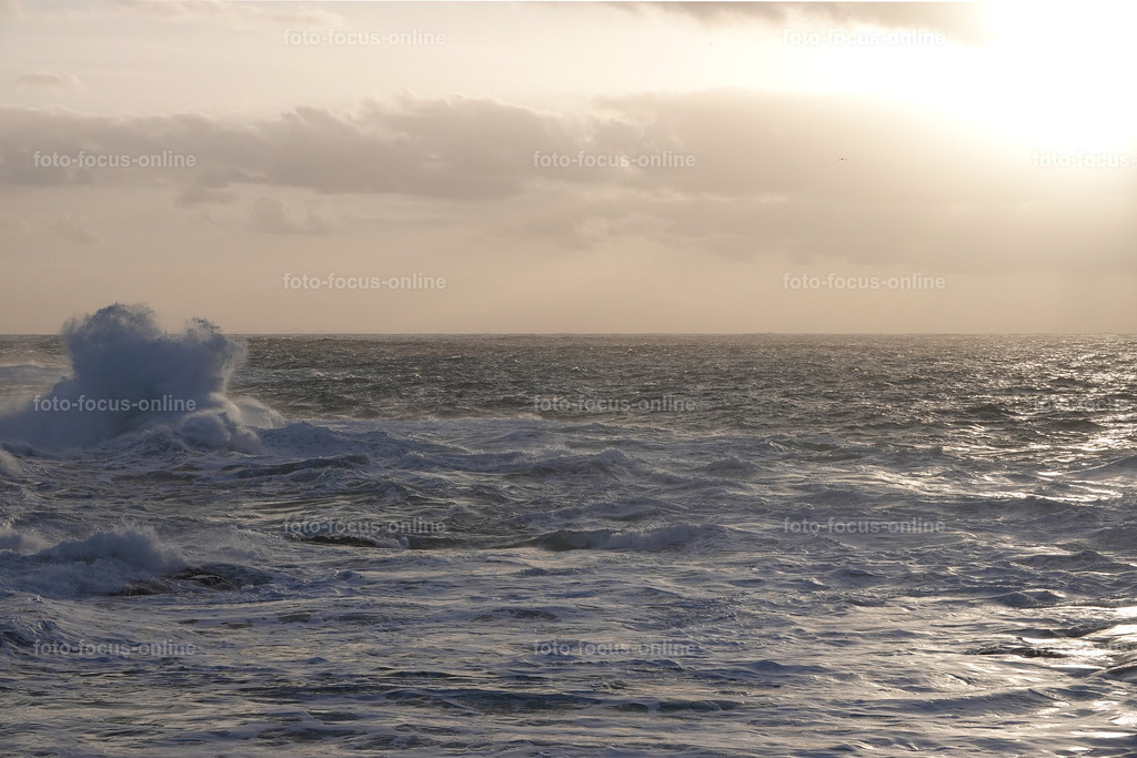 Wild Waves | Wild Waves Atlantic