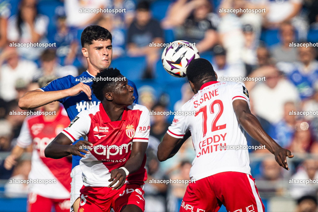 9L6A7370 | Photographies sportives en Alsace : football, handball et autres sports. Découvrez et achetez des images professionnelles réalisées par un photographe de presse basé à Strasbourg. - Realisiert mit Pictrs.com