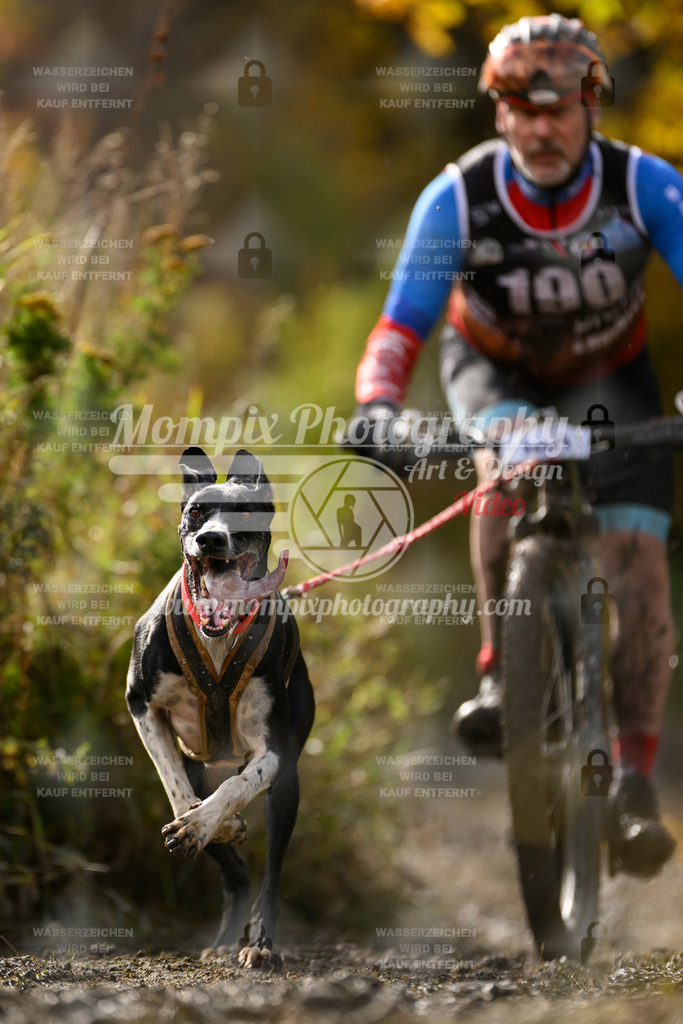MompixPhotography_ICF_WC_2024_SA_Bike_-304 | PayLife