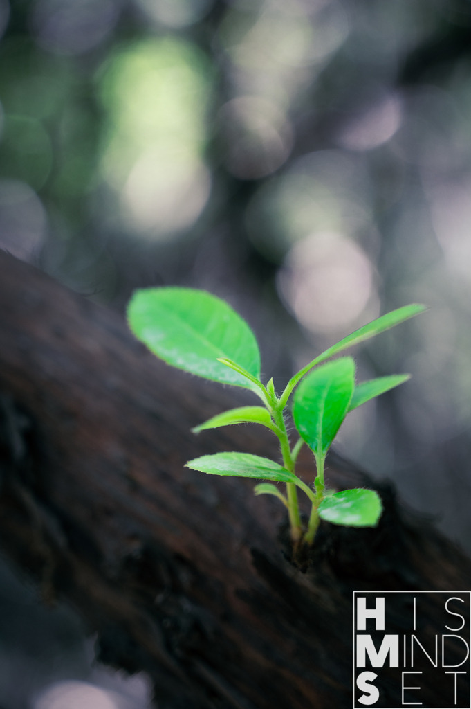 Sidequest | Sichere dir dein Lieblingsbild von HISMINDSET als Print für dein Zuhause oder das Büro! - Realisiert mit Pictrs.com